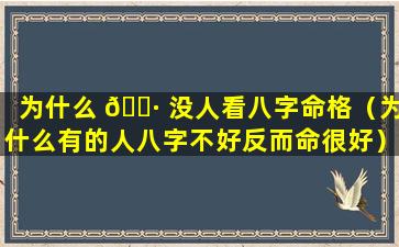 为什么 🌷 没人看八字命格（为什么有的人八字不好反而命很好）